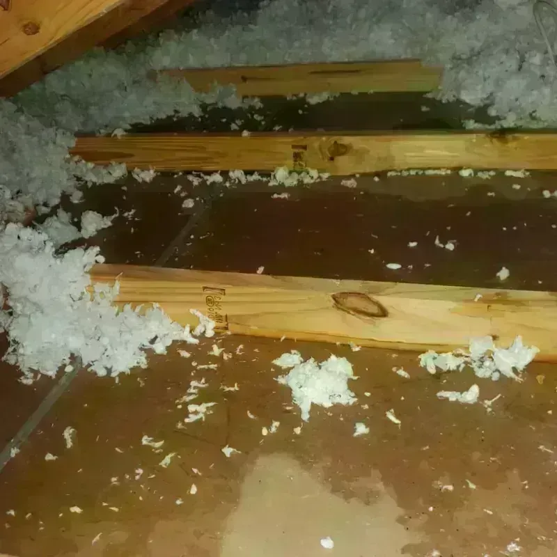 Attic Water Damage in Abbeville, AL