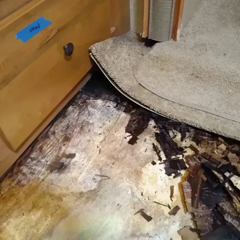 Best Wood Floor Water Damage Service in Abbeville, AL